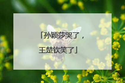 孙颖莎哭了，王楚钦笑了