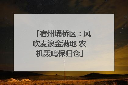 宿州埇桥区：风吹麦浪金满地 农机轰鸣保归仓