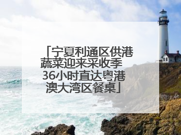宁夏利通区供港蔬菜迎来采收季 36小时直达粤港澳大湾区餐桌