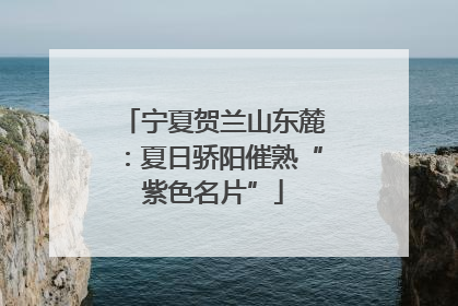 宁夏贺兰山东麓：夏日骄阳催熟“紫色名片”