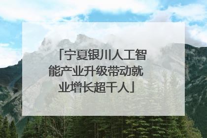 宁夏银川人工智能产业升级带动就业增长超千人