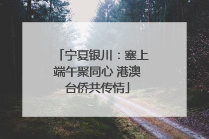 宁夏银川：塞上端午聚同心 港澳台侨共传情