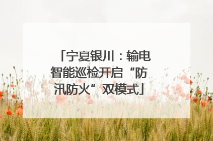 宁夏银川：输电智能巡检开启“防汛防火”双模式