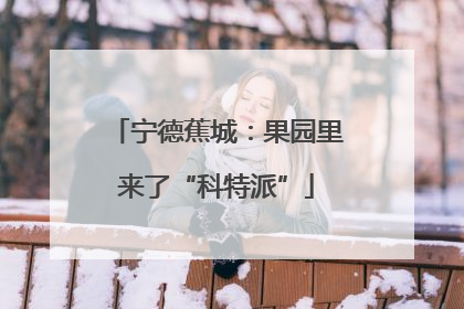 宁德蕉城：果园里来了“科特派”
