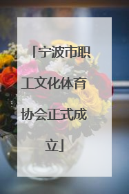 宁波市职工文化体育协会正式成立
