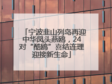 宁波韭山列岛再迎中华凤头燕鸥，24对“酷鸥”喜结连理迎接新生命