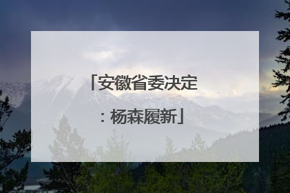 安徽省委决定：杨森履新