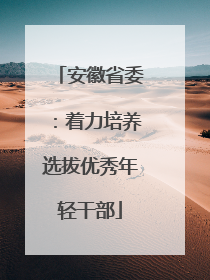 安徽省委：着力培养选拔优秀年轻干部