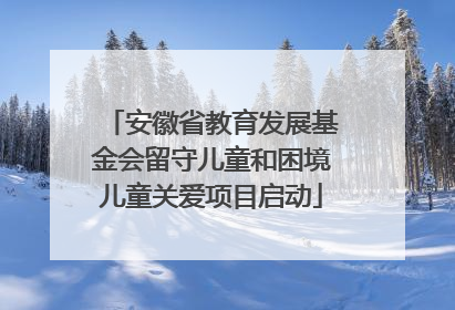 安徽省教育发展基金会留守儿童和困境儿童关爱项目启动