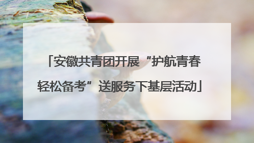 安徽共青团开展“护航青春 轻松备考”送服务下基层活动
