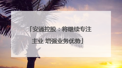 安通控股：将继续专注主业 增强业务优势