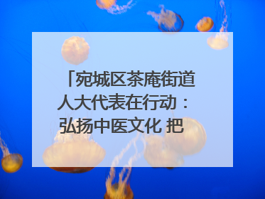 宛城区茶庵街道人大代表在行动：弘扬中医文化 把脉基层健康