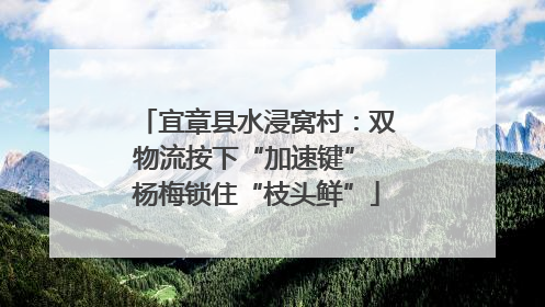 宜章县水浸窝村：双物流按下“加速键” 杨梅锁住“枝头鲜”