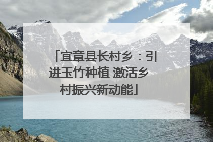 宜章县长村乡：引进玉竹种植 激活乡村振兴新动能