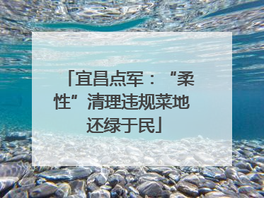 宜昌点军：“柔性”清理违规菜地 还绿于民