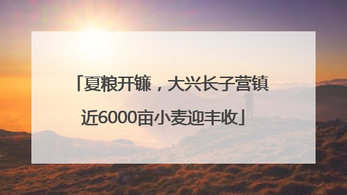 夏粮开镰，大兴长子营镇近6000亩小麦迎丰收