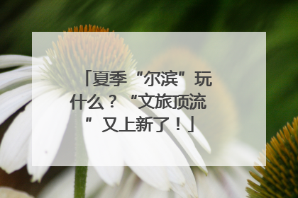 夏季“尔滨”玩什么？“文旅顶流”又上新了！