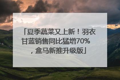 夏季蔬菜又上新！羽衣甘蓝销售同比猛增70%，盒马新推升级版