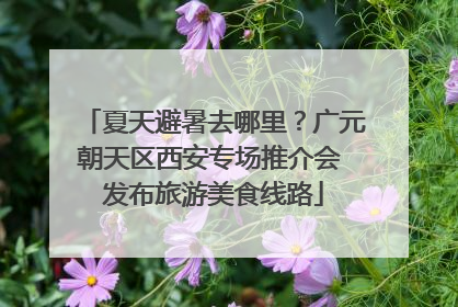 夏天避暑去哪里？广元朝天区西安专场推介会 发布旅游美食线路