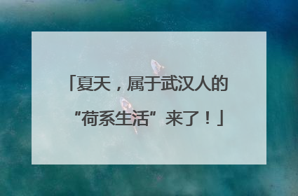 夏天，属于武汉人的“荷系生活”来了！