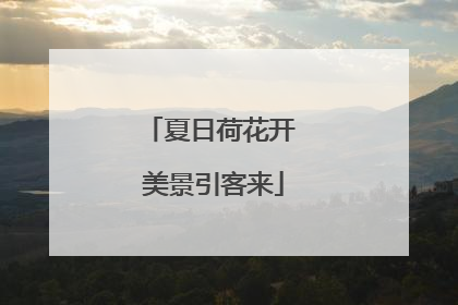 夏日荷花开 美景引客来