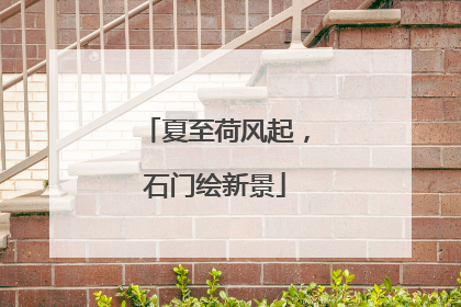 夏至荷风起，石门绘新景
