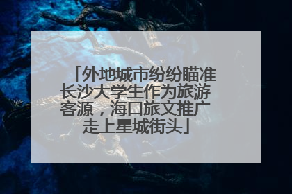 外地城市纷纷瞄准长沙大学生作为旅游客源，海口旅文推广走上星城街头