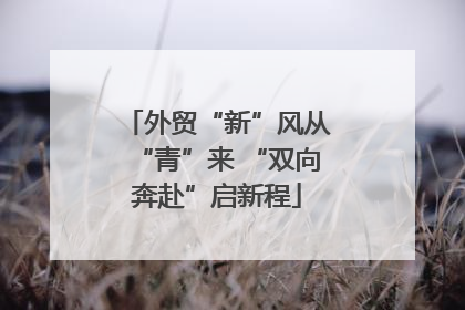外贸“新”风从“青”来 “双向奔赴”启新程