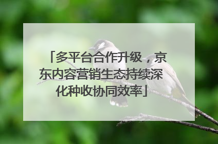 多平台合作升级，京东内容营销生态持续深化种收协同效率