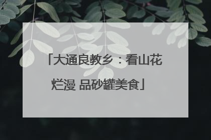 大通良教乡：看山花烂漫 品砂罐美食
