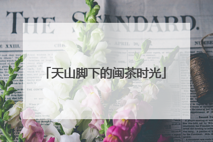 天山脚下的闽茶时光