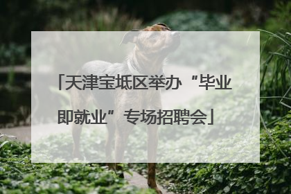 天津宝坻区举办“毕业即就业”专场招聘会