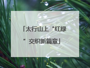 太行山上“红绿”交织新篇章