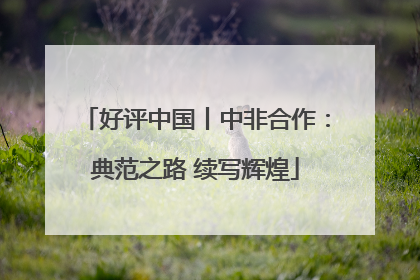 好评中国丨中非合作：典范之路 续写辉煌