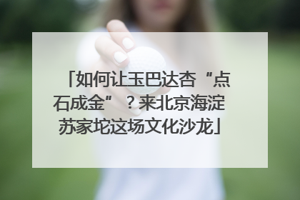 如何让玉巴达杏“点石成金”？来北京海淀苏家坨这场文化沙龙