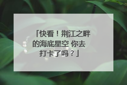 快看！荆江之畔的海底星空 你去打卡了吗？