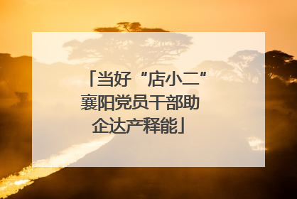 当好“店小二” 襄阳党员干部助企达产释能