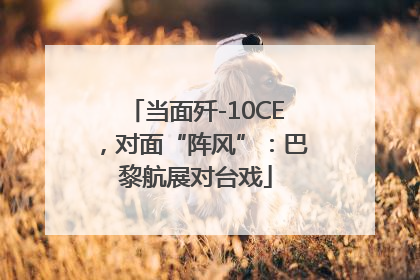 当面歼-10CE，对面“阵风”：巴黎航展对台戏