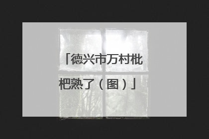 德兴市万村枇杷熟了（图）