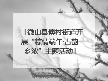 微山县傅村街道开展“粽情端午·古韵乡浓”主题活动