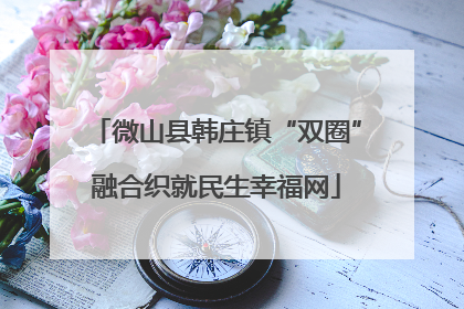 微山县韩庄镇“双圈”融合织就民生幸福网