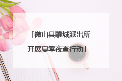 微山县驩城派出所开展夏季夜查行动