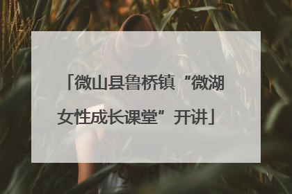 微山县鲁桥镇“微湖女性成长课堂”开讲
