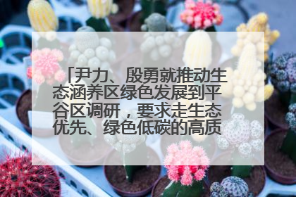 尹力、殷勇就推动生态涵养区绿色发展到平谷区调研，要求走生态优先、绿色低碳的高质量发展之路