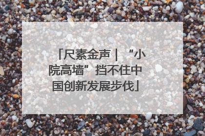 尺素金声｜“小院高墙”挡不住中国创新发展步伐