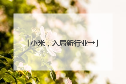 小米，入局新行业→