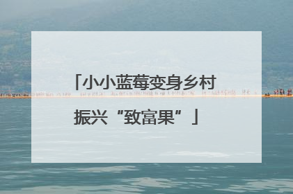 小小蓝莓变身乡村振兴“致富果”