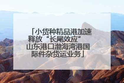 小货种精品港加速释放“长尾效应” 山东港口渤海湾港国际件杂货运业务