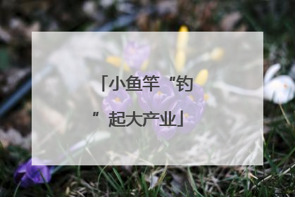 小鱼竿“钓”起大产业