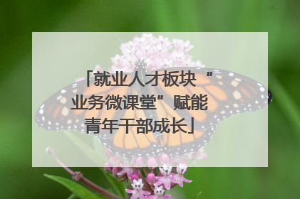 就业人才板块“业务微课堂”赋能青年干部成长